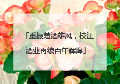 重振楚酒雄风，枝江酒业再续百年辉煌