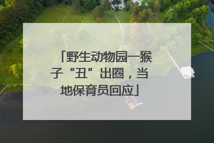 野生动物园一猴子“丑”出圈，当地保育员回应