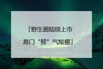 野生菌陆续上市 易门“鲜”气爆棚