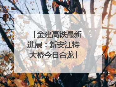 金建高铁最新进展：新安江特大桥今日合龙