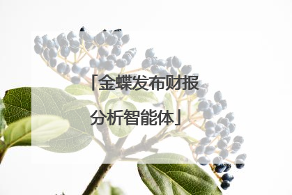 金蝶发布财报分析智能体