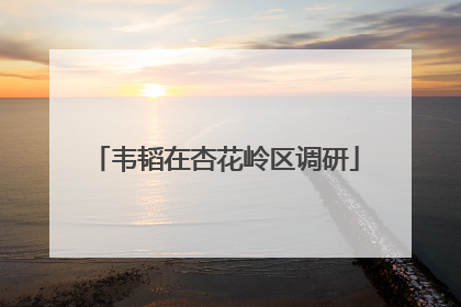 韦韬在杏花岭区调研