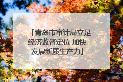 青岛市审计局立足经济监督定位 加快发展新质生产力