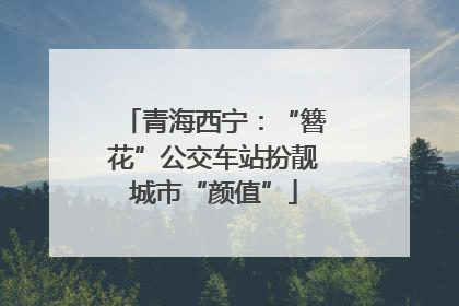 青海西宁：“簪花”公交车站扮靓城市“颜值”