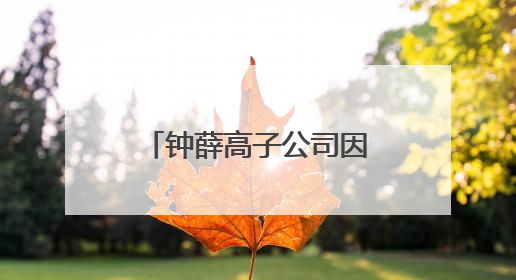 钟薛高子公司因无偿债能力被申请破产，招牌雪糕产品仍在售
