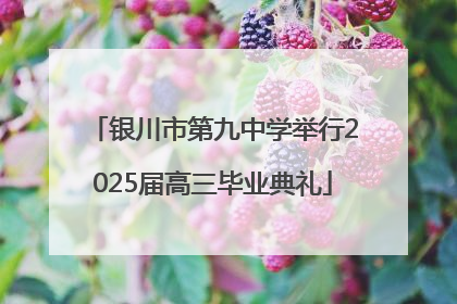 银川市第九中学举行2025届高三毕业典礼