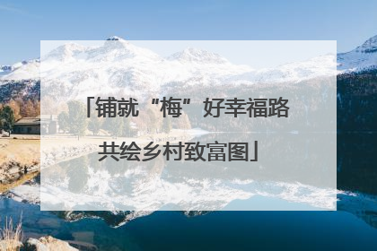铺就“梅”好幸福路 共绘乡村致富图