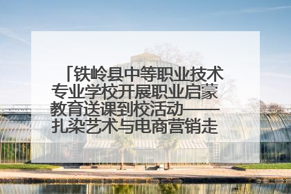 铁岭县中等职业技术专业学校开展职业启蒙教育送课到校活动——扎染艺术与电商营销走进熊官屯镇中心小学
