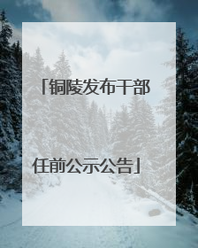 铜陵发布干部任前公示公告