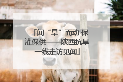 闻“旱”而动 保灌保供——陕西抗旱一线走访见闻