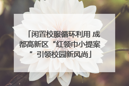 闲置校服循环利用 成都高新区“红领巾小提案”引领校园新风尚