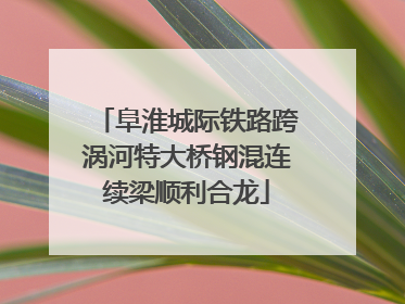 阜淮城际铁路跨涡河特大桥钢混连续梁顺利合龙