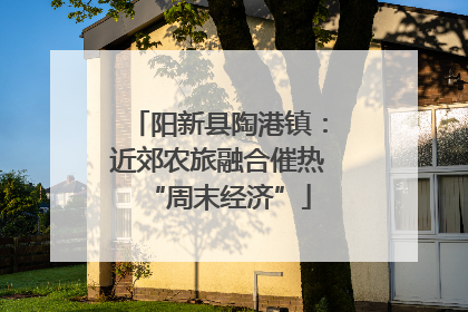 阳新县陶港镇：近郊农旅融合催热“周末经济”