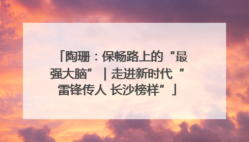 陶珊：保畅路上的“最强大脑”｜走进新时代“雷锋传人 长沙榜样”