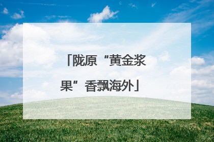 陇原“黄金浆果”香飘海外