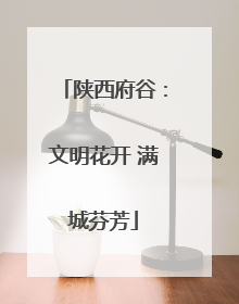 陕西府谷：文明花开 满城芬芳