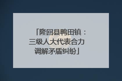 隆回县鸭田镇：三级人大代表合力调解矛盾纠纷