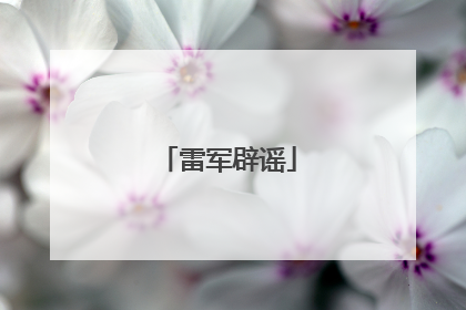 雷军辟谣