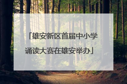 雄安新区首届中小学诵读大赛在雄安举办