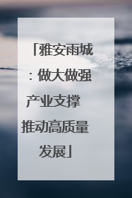 雅安雨城：做大做强产业支撑 推动高质量发展
