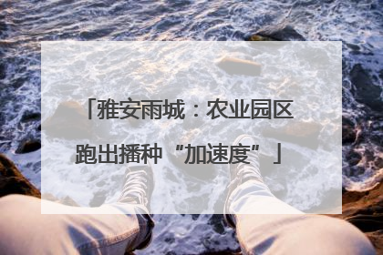 雅安雨城：农业园区跑出播种“加速度”