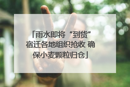 雨水即将“到货” 宿迁各地组织抢收 确保小麦颗粒归仓