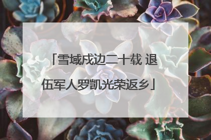 雪域戍边二十载 退伍军人罗凯光荣返乡