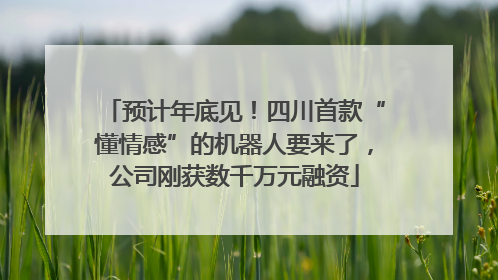 预计年底见！四川首款“懂情感”的机器人要来了，公司刚获数千万元融资