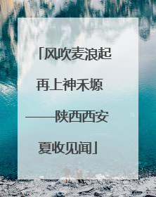风吹麦浪起 再上神禾塬——陕西西安夏收见闻