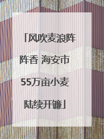 风吹麦浪阵阵香 海安市55万亩小麦陆续开镰