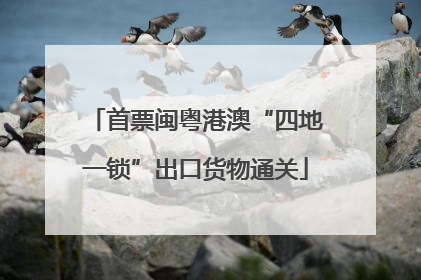 首票闽粤港澳“四地一锁”出口货物通关