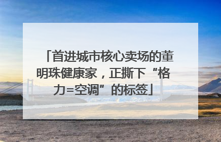 首进城市核心卖场的董明珠健康家，正撕下“格力=空调”的标签