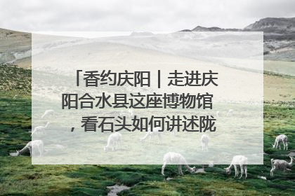 香约庆阳｜走进庆阳合水县这座博物馆，看石头如何讲述陇东千年历史