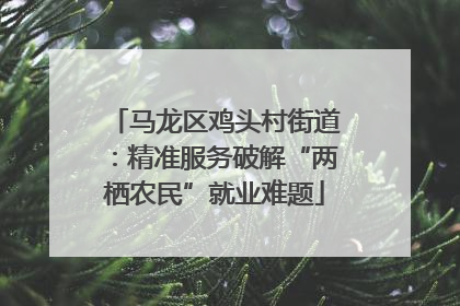 马龙区鸡头村街道：精准服务破解“两栖农民”就业难题