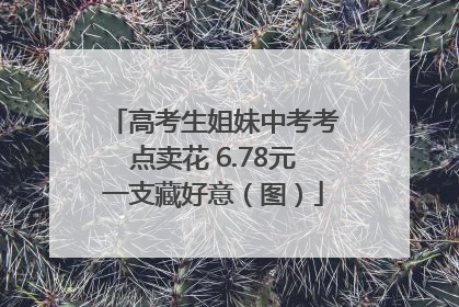 高考生姐妹中考考点卖花 6.78元一支藏好意（图）