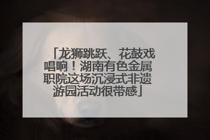 龙狮跳跃、花鼓戏唱响！湖南有色金属职院这场沉浸式非遗游园活动很带感