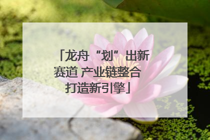 龙舟“划”出新赛道 产业链整合打造新引擎