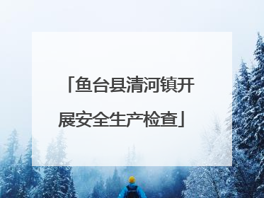 鱼台县清河镇开展安全生产检查