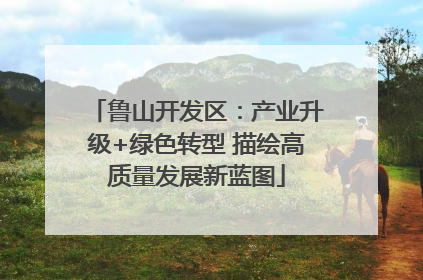鲁山开发区：产业升级+绿色转型 描绘高质量发展新蓝图