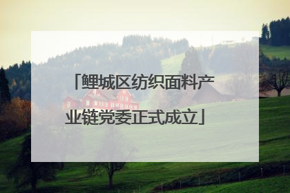 鲤城区纺织面料产业链党委正式成立