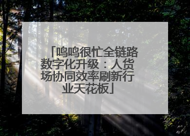 鸣鸣很忙全链路数字化升级：人货场协同效率刷新行业天花板
