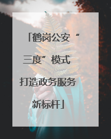 鹤岗公安“三度”模式 打造政务服务新标杆