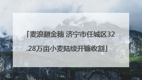 麦浪翻金穗 济宁市任城区32.28万亩小麦陆续开镰收割
