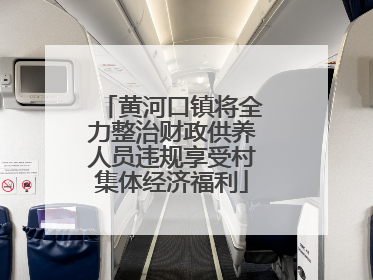 黄河口镇将全力整治财政供养人员违规享受村集体经济福利