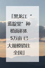 黑龙江“蓝靛果”种植面积8.5万亩 已大规模销往全国