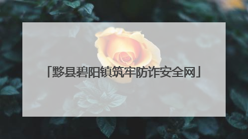 黟县碧阳镇筑牢防诈安全网