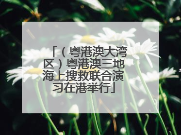 （粤港澳大湾区）粤港澳三地海上搜救联合演习在港举行