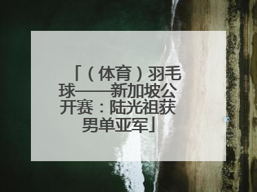 （体育）羽毛球——新加坡公开赛：陆光祖获男单亚军