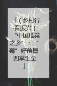 （乡村行·看振兴）“中国瓜菜之乡”：“莓”好前景 四季生金
