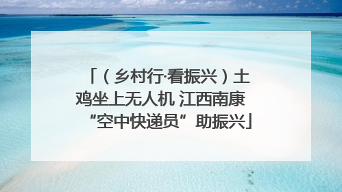 （乡村行·看振兴）土鸡坐上无人机 江西南康“空中快递员”助振兴
